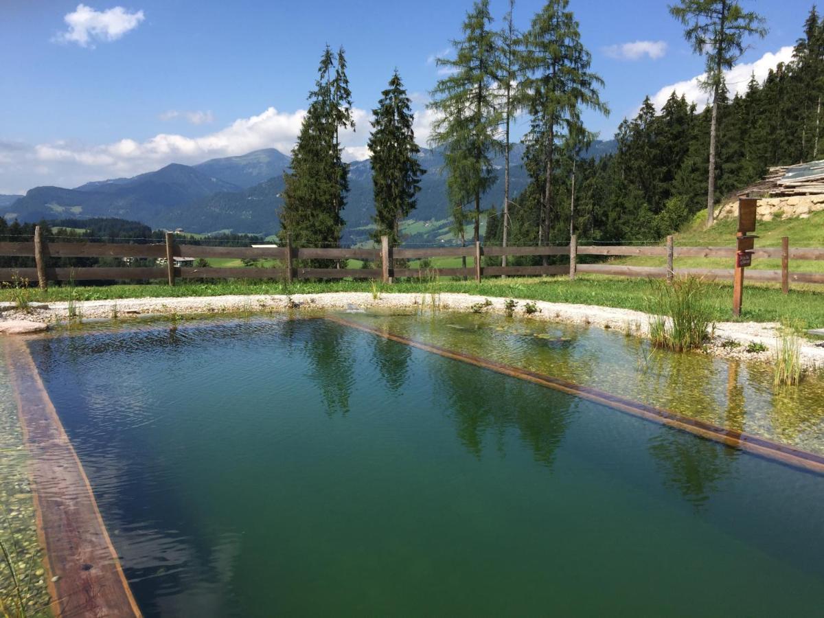 Sonnleit'N Zimmer 7 Abtenau Buitenkant foto