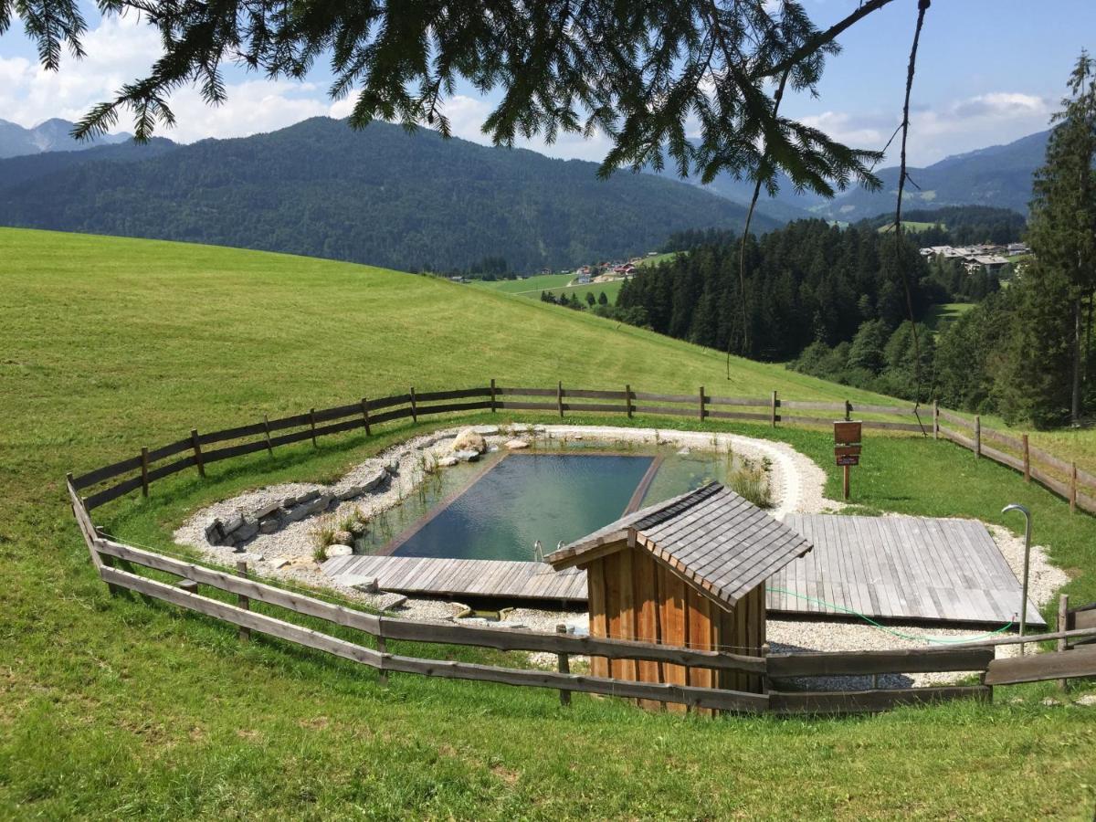 Sonnleit'N Zimmer 7 Abtenau Buitenkant foto