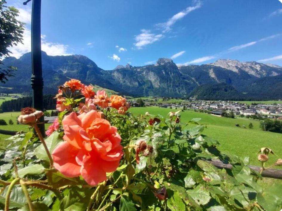 Sonnleit'N Zimmer 7 Abtenau Buitenkant foto